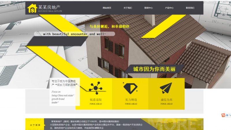 网站制作代理加盟，性价比背后的考量因素